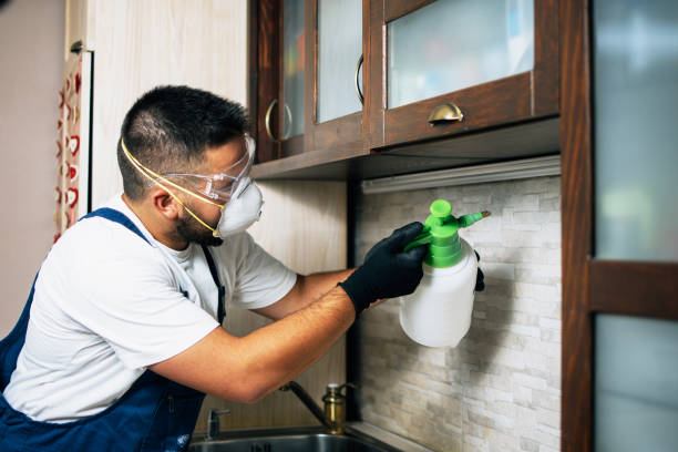 Best Pest Control for Businesses  in Gothenburg, NE