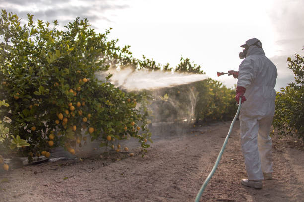 Best Pest Prevention Services  in Gothenburg, NE
