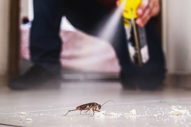 Best Insect Control  in Gothenburg, NE